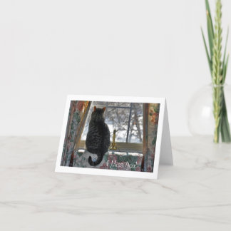 Tarjeta Gato de Tabby en la ventana Nevado