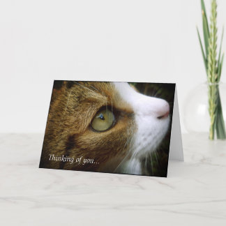 Tarjeta Gato de Tabby - pensando en usted carde