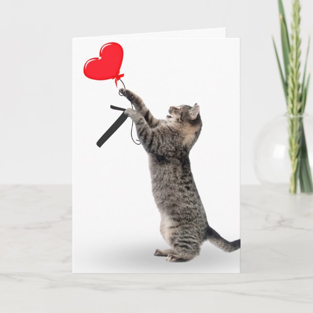 Tarjeta Gato de Tabby por séptimo cumpleaños (Anverso)