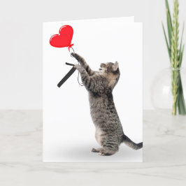 Tarjeta Gato de Tabby por séptimo cumpleaños