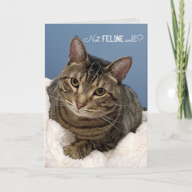 Tarjeta Gato de Tabby se pone bien pronto (Anverso)