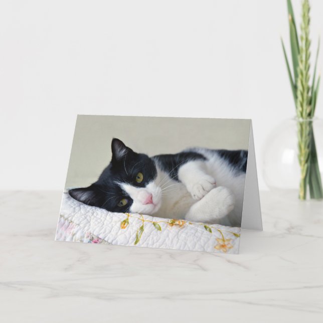 Tarjeta Gato de Tuxedo (Anverso)