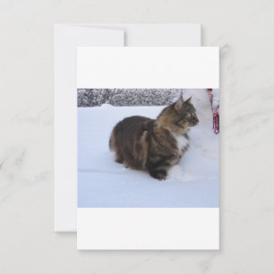 Tarjeta gato del bosque noruego en la nieve