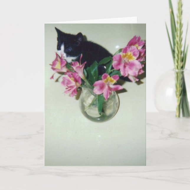 Tarjeta Gato del feliz cumpleaños con las flores en (Anverso)