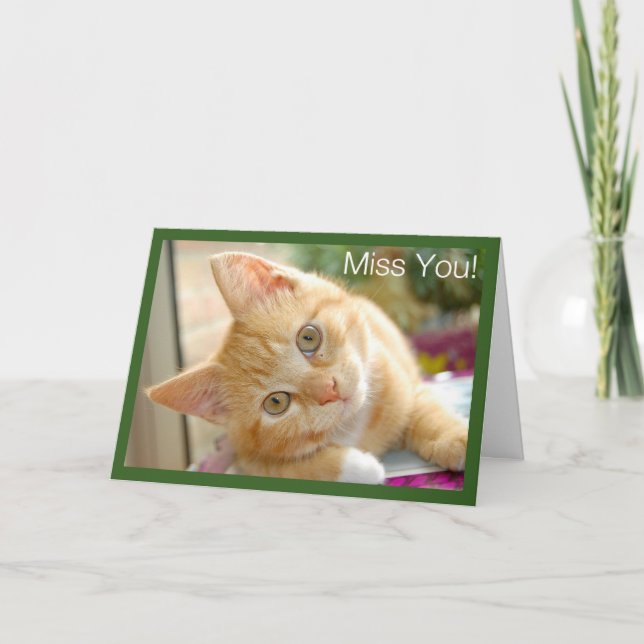 Tarjeta Gato del gatito - Srta. You Card del gatito (Anverso)