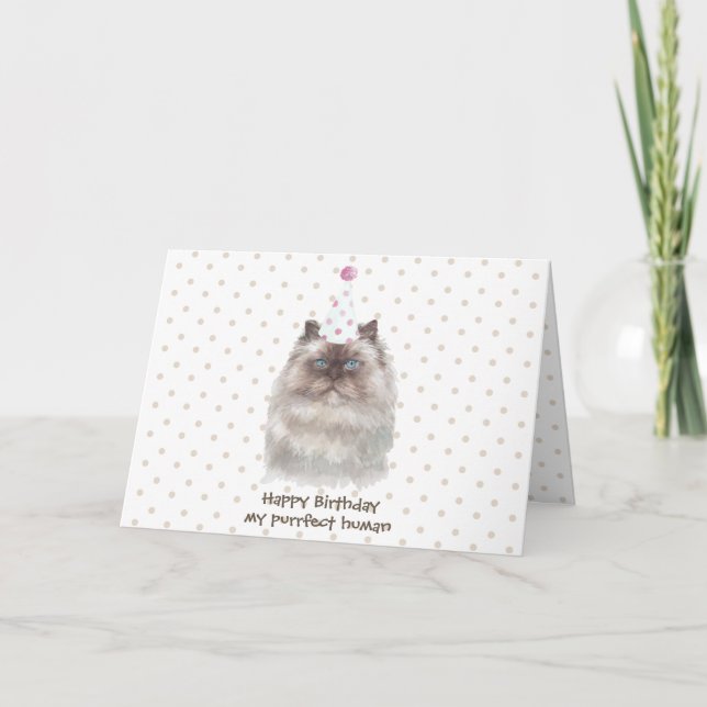 Tarjeta Gato del Himalaya con sombrero de fiesta (Anverso)