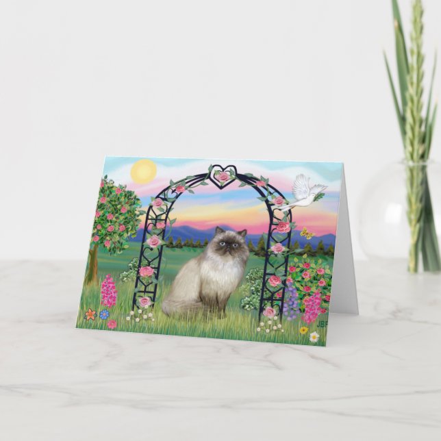 Tarjeta Gato del Himalaya - Rosa Arbor (Anverso)