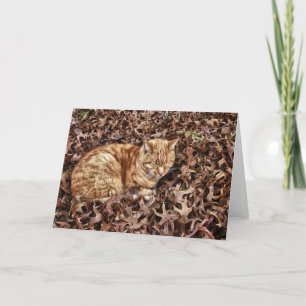 Tarjeta Gato del otoño
