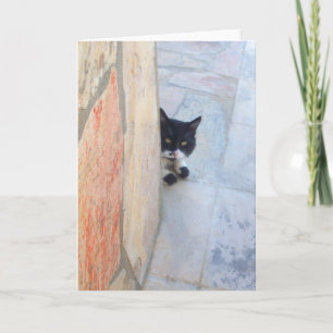 TARJETA GATO DETECTIVE DETRÁS DEL MURO DE PIEDRA