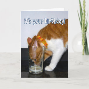 Tarjeta Gato Divertido Bebiendo de un Vaso - Feliz Cumplea