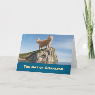 Tarjeta Gato Divertido de Gibraltar