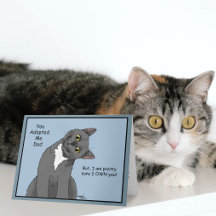 Gato Divertido Día del Padre Gato Gris Azul