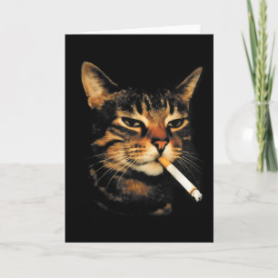 Tarjeta Gato divertido fumando cigarrillo meme de gatito e