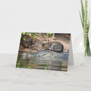 Tarjeta Gato Divertido Lagarto Siesta