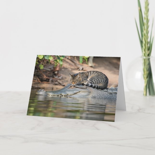 Tarjeta Gato Divertido Lagarto Siesta (Anverso)