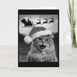 Tarjeta Gato Divertido Selfie Con Santa Claus Trineo De Na