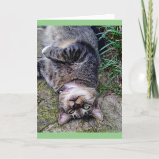Tarjeta Gato divertido unidad TENS