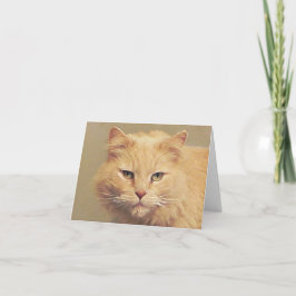 Tarjeta Gato dulce ponte bien pronto