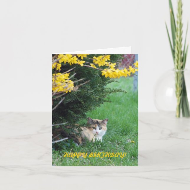 Tarjeta Gato, dulce uno, cumpleaños (Anverso)