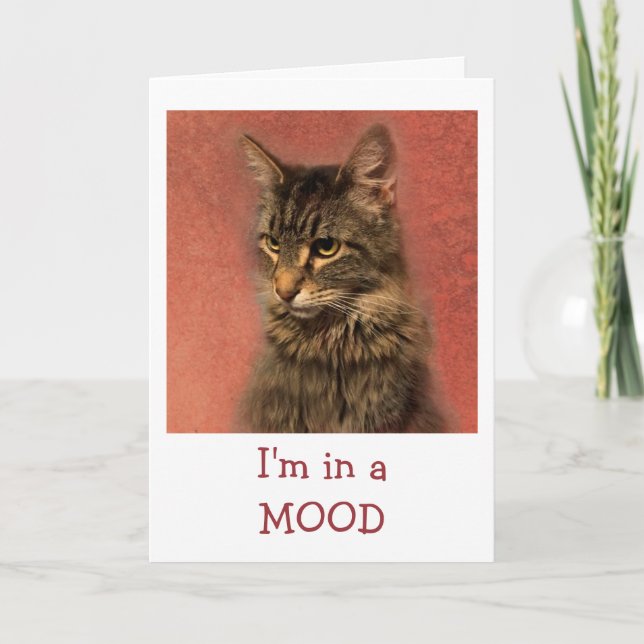 Tarjeta Gato En Ánimo De Bien (Anverso)