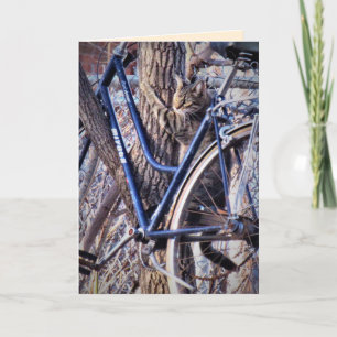 Tarjeta Gato en árbol con bicicleta Gatos divertidos y lin