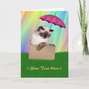 Tarjeta Gato en caja