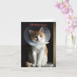 Tarjeta Gato en Cono Pensando en ti, Gato sano pronto