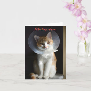 Tarjeta Gato en Cono Pensando en ti, Gato sano pronto