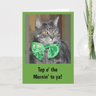 Tarjeta Gato en el bowtie para el día de St Patrick