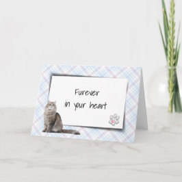 Tarjeta Gato En El Mascota De La Placa: Compasión Por La P