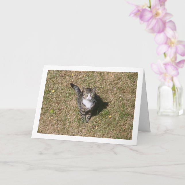 Tarjeta Gato en retrato de hierba (Orquídea)
