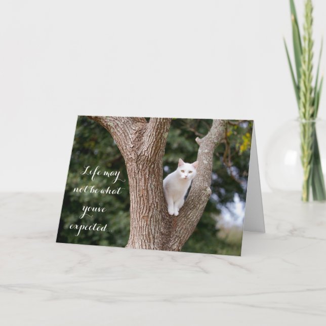 Tarjeta Gato en un árbol notecard (Anverso)