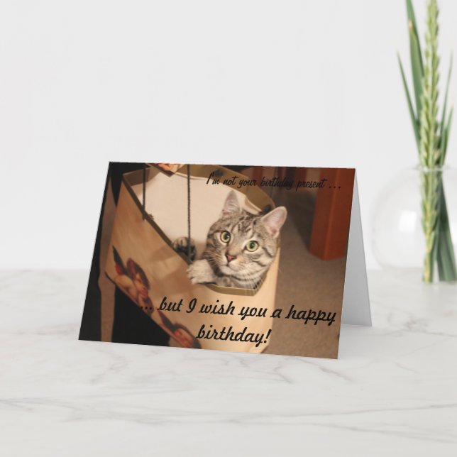 Tarjeta Gato en una bolsa de regalo (Anverso)