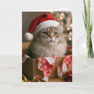Tarjeta Gato en una caja de regalo de Navidad