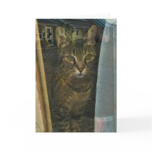 Gato en una ventana que refleja los pensamientos d