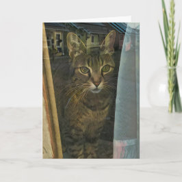 Tarjeta Gato en una ventana que refleja pensamientos de ti