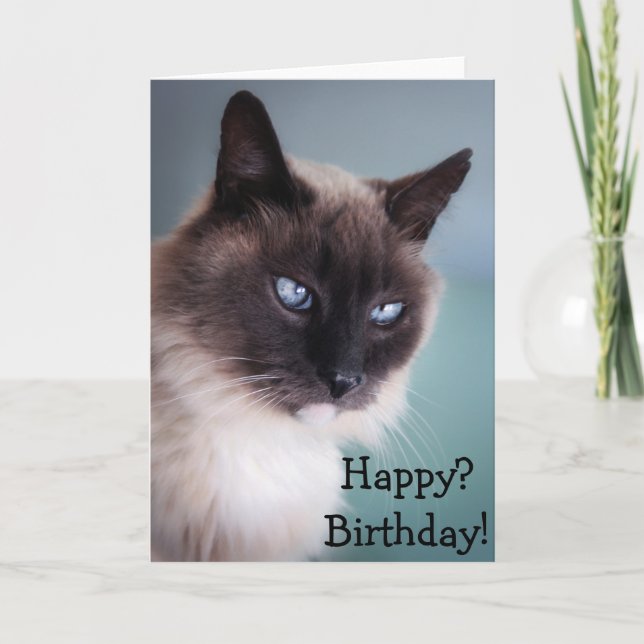 Tarjeta Gato escéptico o gruñón: ¿Feliz? Cumpleaños! (Anverso)