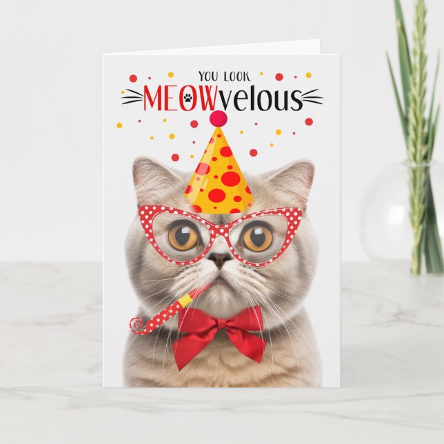 Tarjeta Gato escocés de crema frita MEOWvelous Birthday (Anverso)