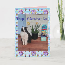 Tarjeta Gato esmoquin divertido gatos lindos día de San Va