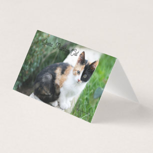 Tarjeta Gato Fantasma de la Ópera
