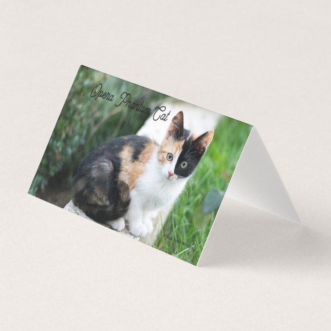 Tarjeta Gato Fantasma de la Ópera (Anverso)