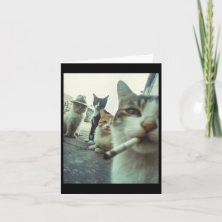 Tarjeta Gato Fumando Funny Gangster Cats Meme Divertido Ma