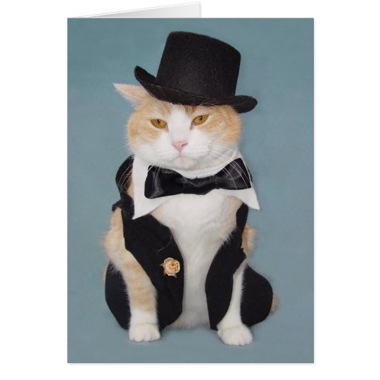 Tarjeta Gato/gatito formales divertidos adaptables
