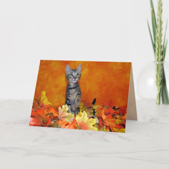 Tarjeta Gato/Gatito Gato/Gatito para saludo de oto (Anverso)