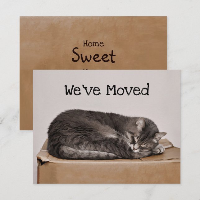 Tarjeta Gato Gato Gris Ahogado En Una Caja En Movimiento (Anverso / Reverso)