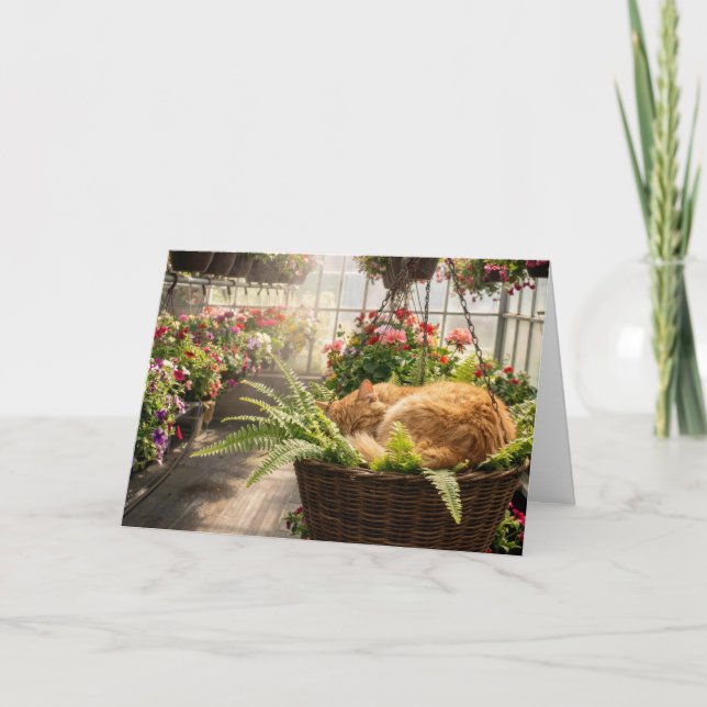 Tarjeta Gato Ginger Cumpleaños Durmiendo en una Cesta de H (Anverso)