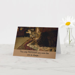 Tarjeta Gato gracioso a cargo (en blanco dentro)