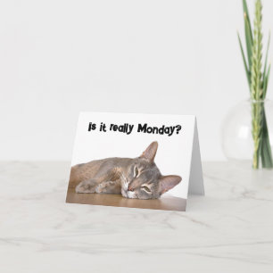Tarjeta Gato gracioso abisino marrón odia meme del lunes