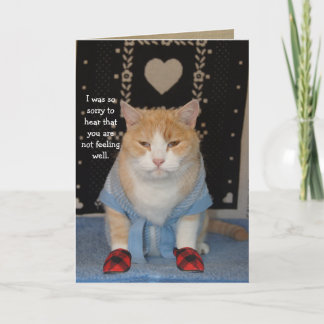 Tarjeta Gato gracioso de personalizable en el alboroto se