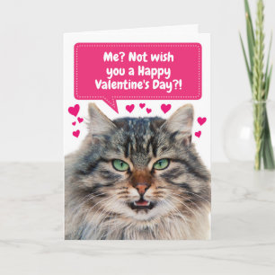 Tarjeta Gato gracioso deseándote un feliz día de San Valen